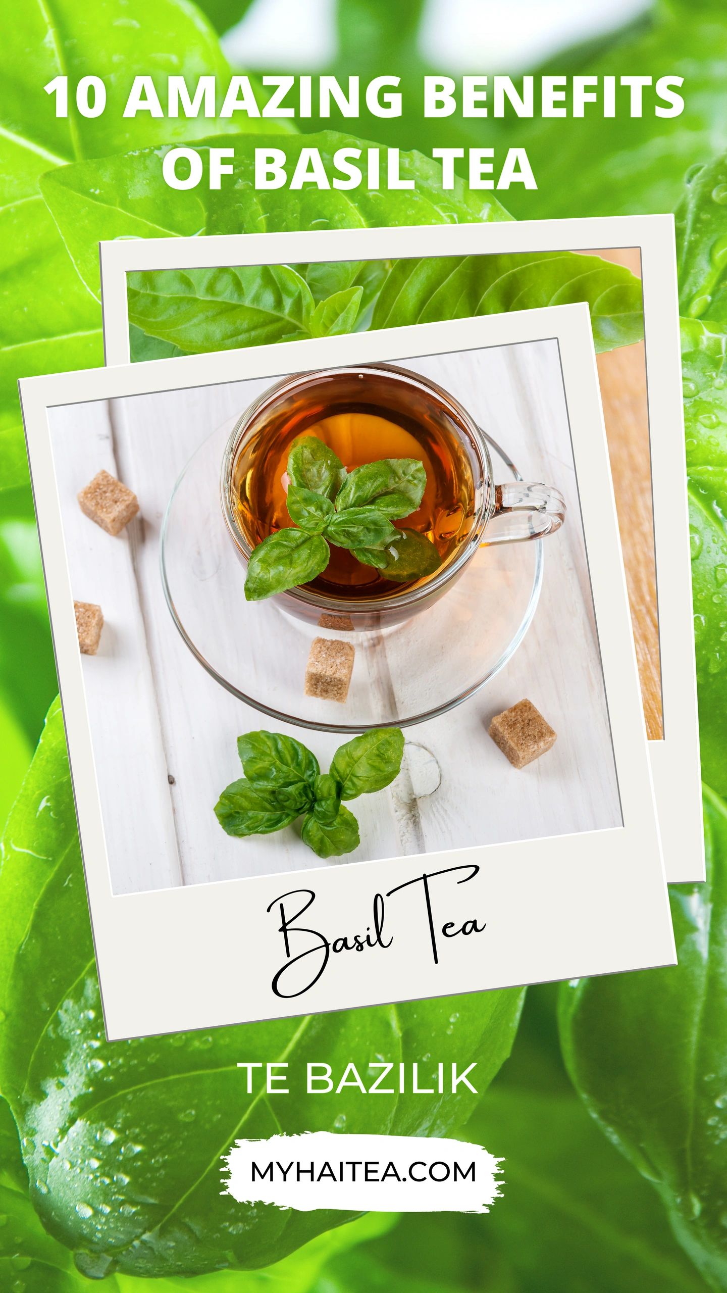 10 Amazing Benefits of Drinking Basil Tea